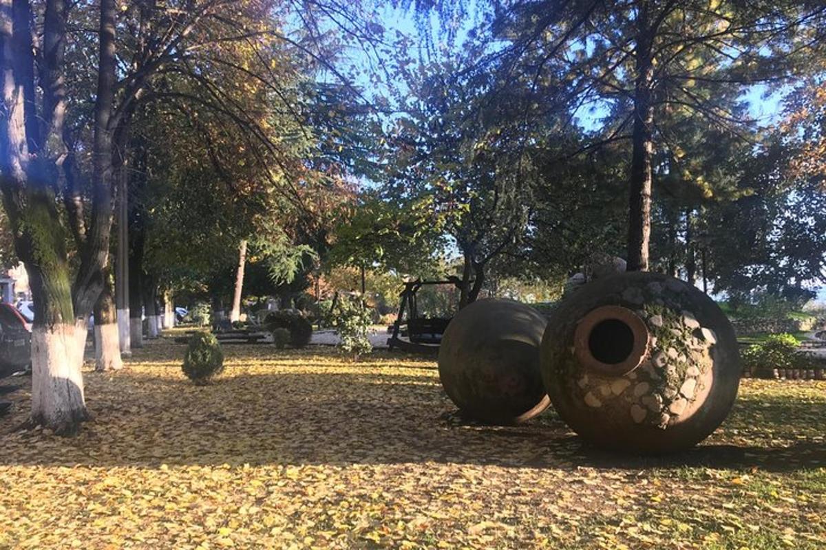 pargis maas lebav suur rehv