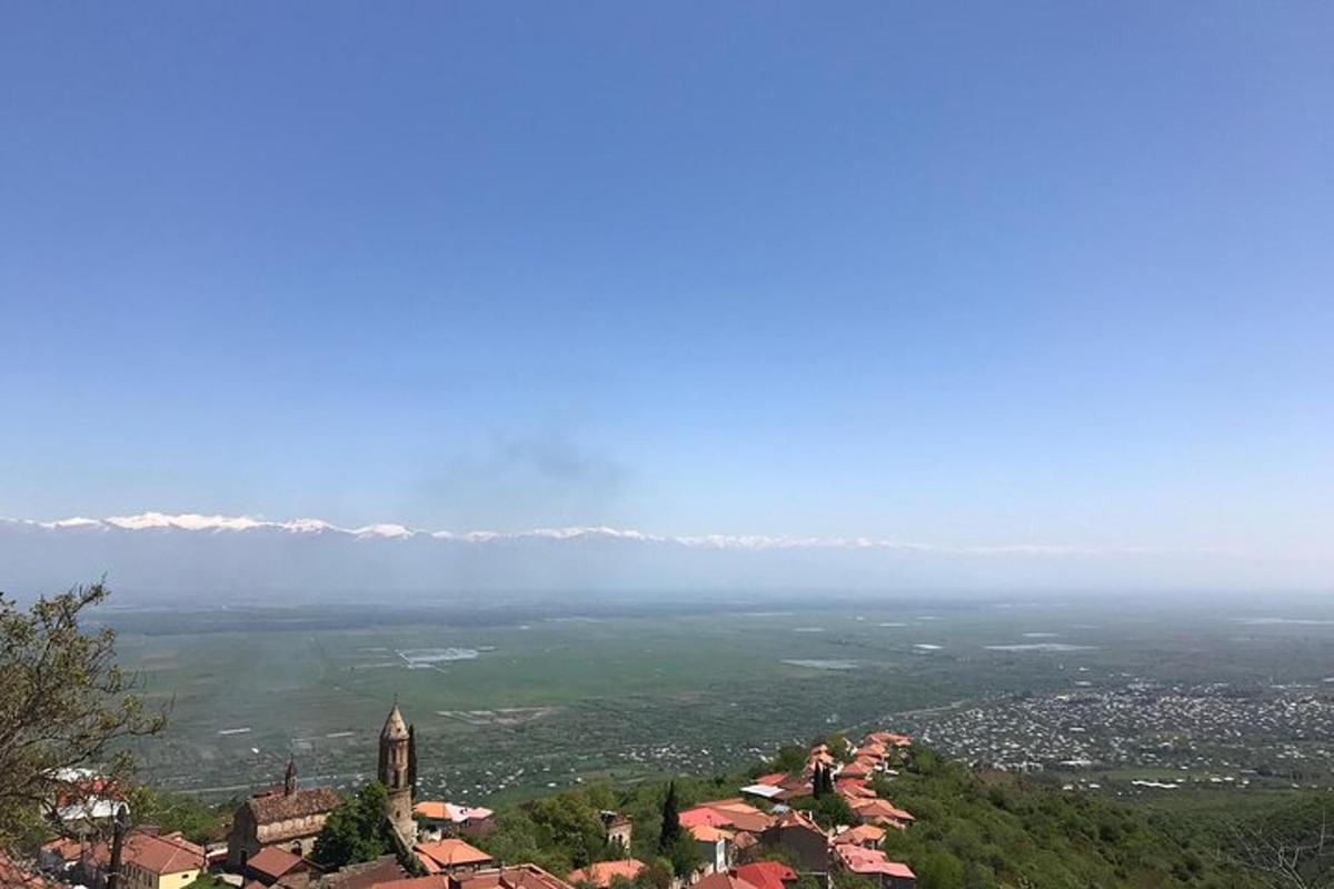 a view of a city from the top of a mountain