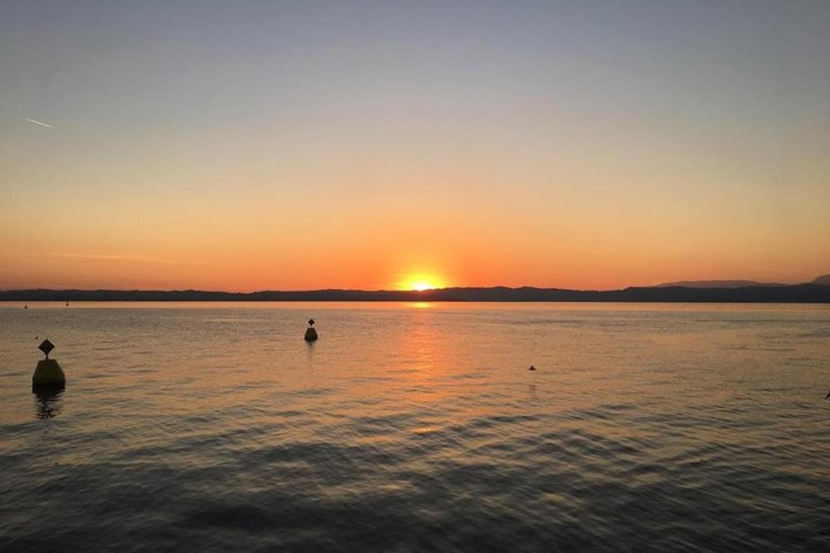 two birds standing in the water at sunset