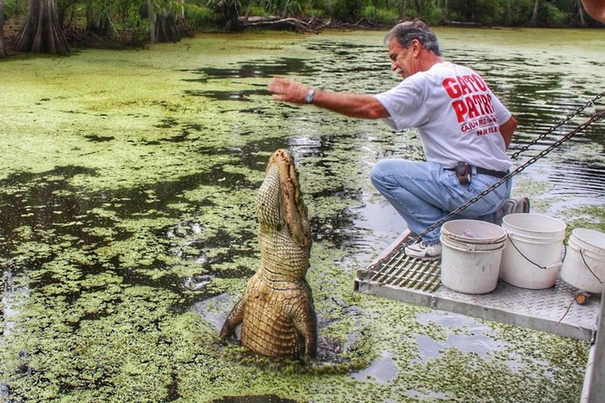 a man in the water with aigator in the water