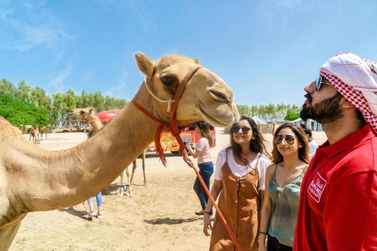 a group of people standing next to a camel