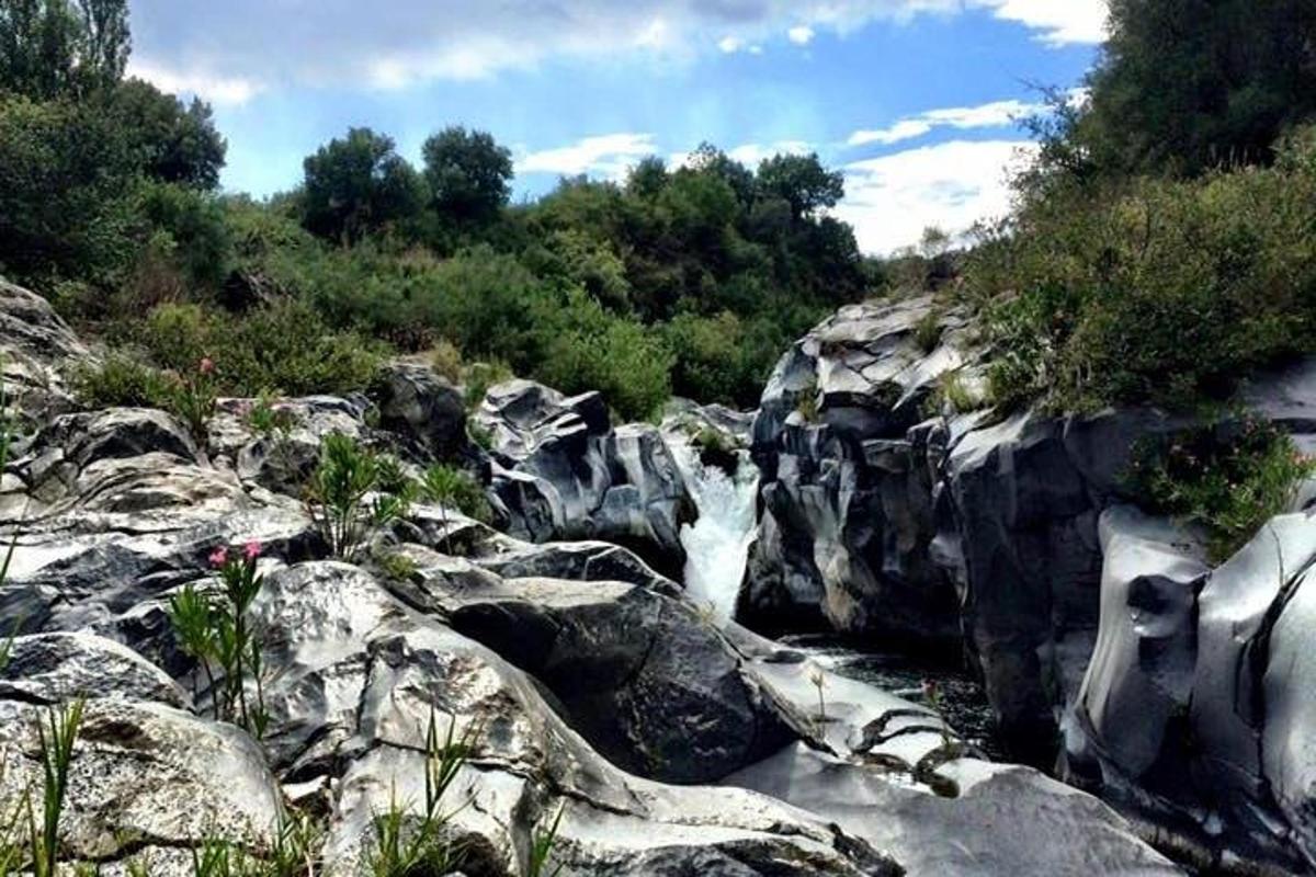 een waterval op een rotsachtige heuvel met bomen en struiken