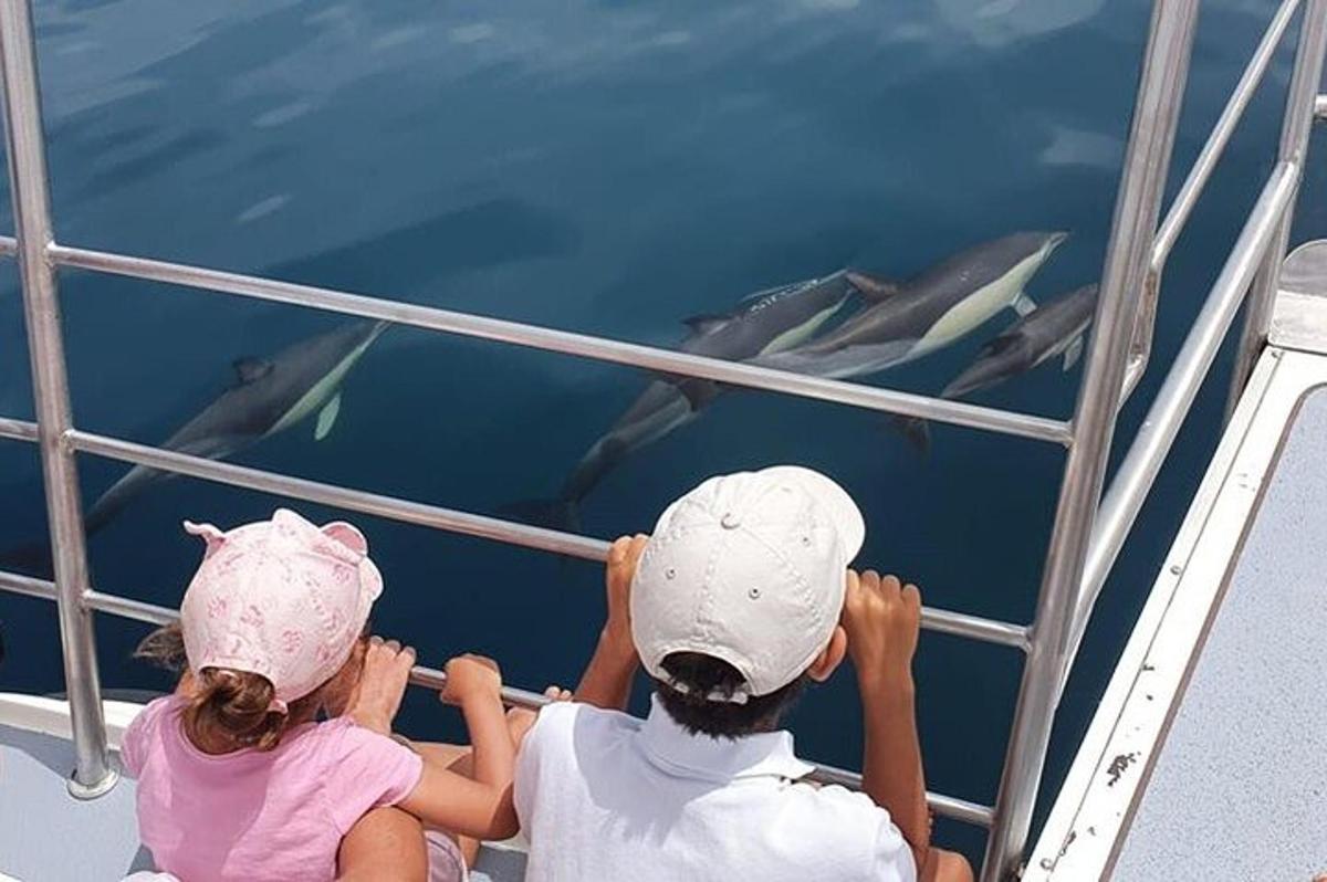 um homem e uma menina olhando golfinhos em um barco