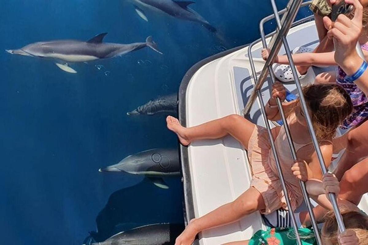um grupo de pessoas em um barco observando golfinhos