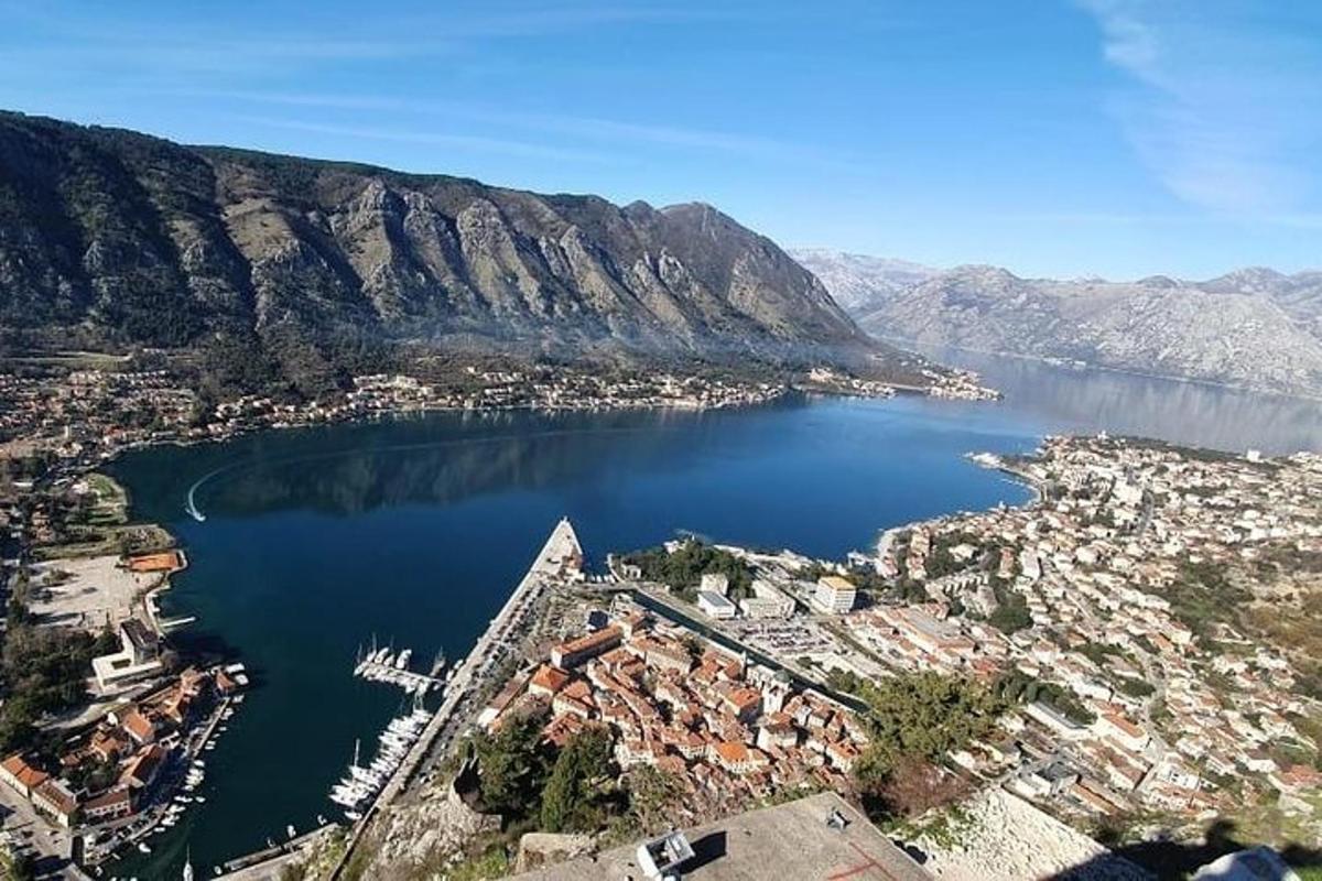 an aerial view of a city and a body of water