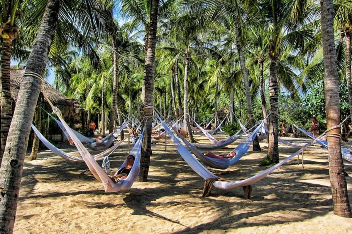 a group of hammocks on a beach with palm trees