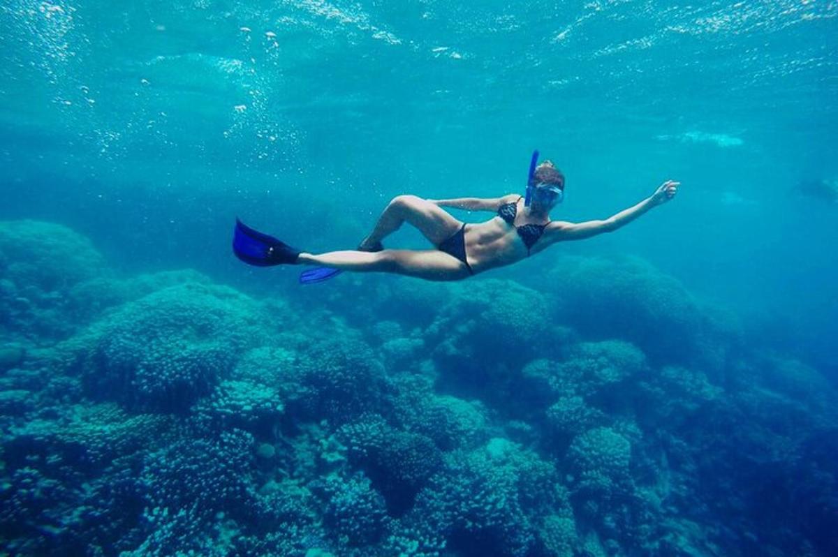 isang babaeng naka-swimsuit na lumalangoy sa karagatan