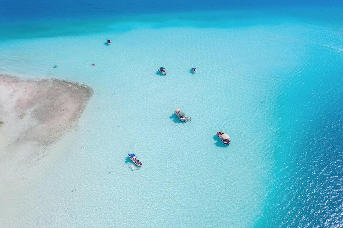 a group of people in the water at the beach