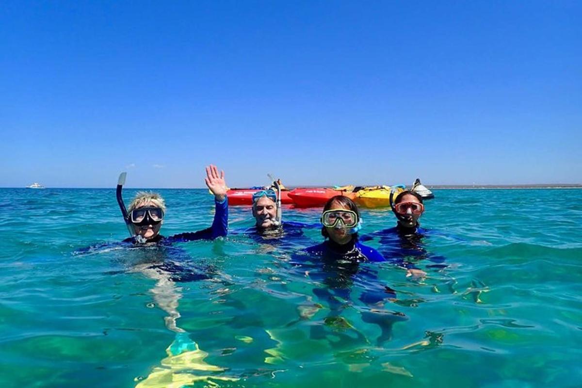 een groep mensen die in het water zwemmen