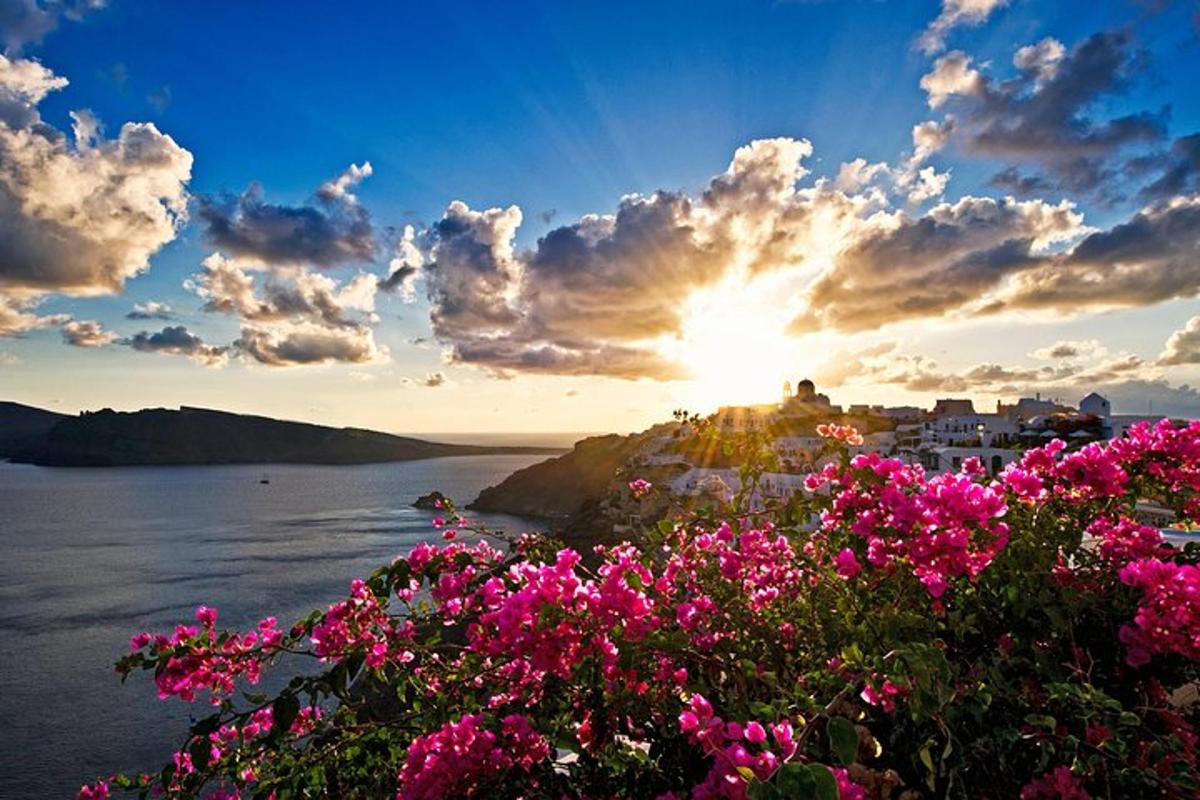 un coucher de soleil sur l'eau avec des fleurs roses