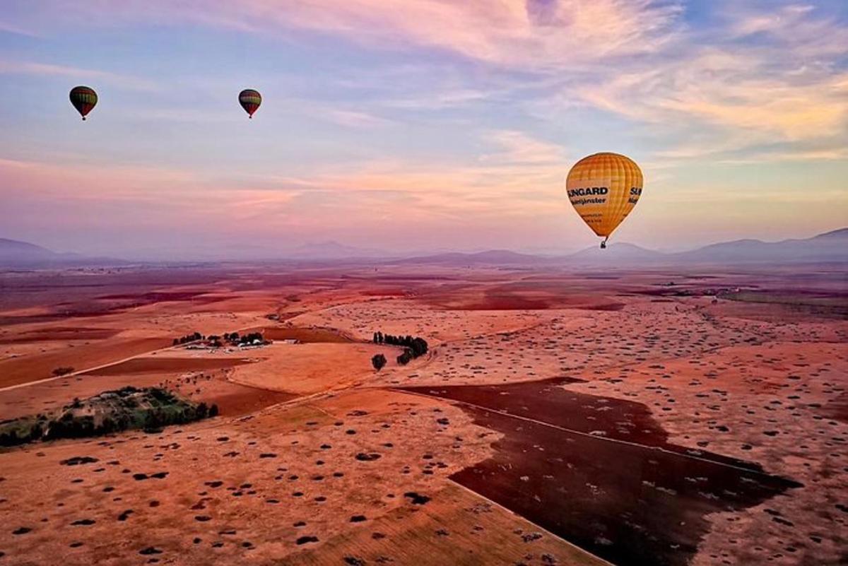 a group of hot air balloons flying over the desert