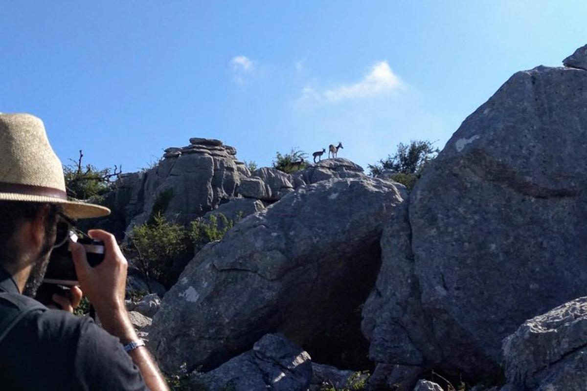 Fotografia 7 a atracției