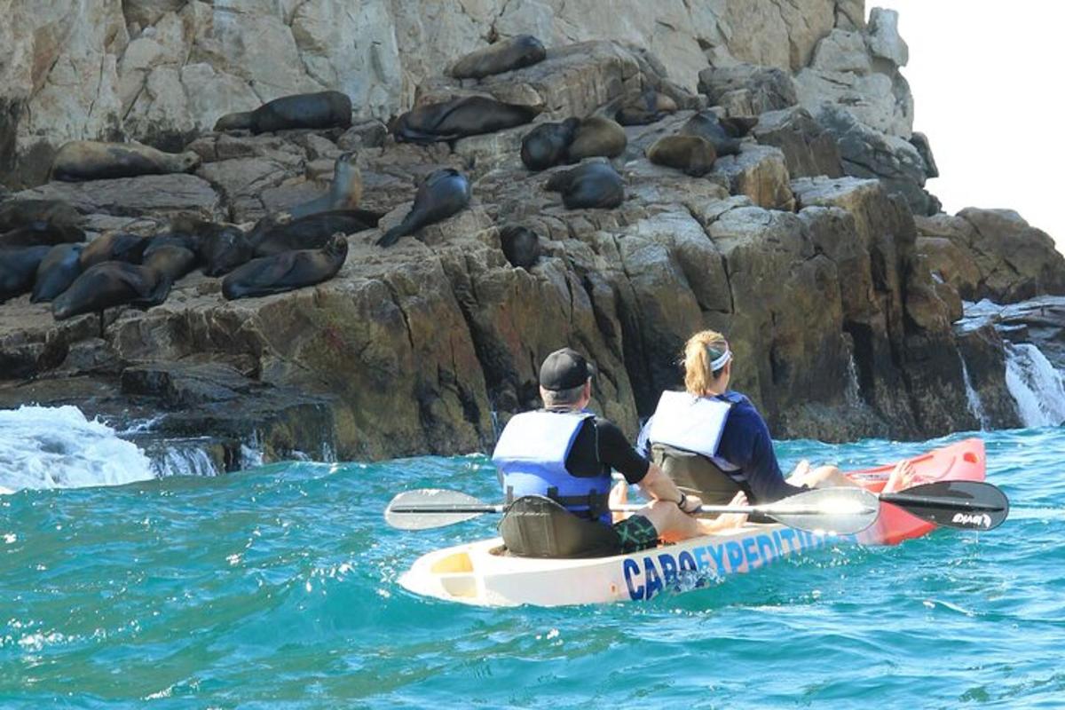 due persone in kayak in acqua