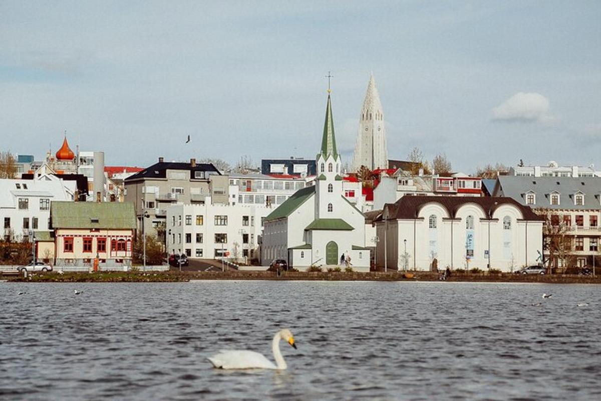 labuť plavající ve vodě před městem