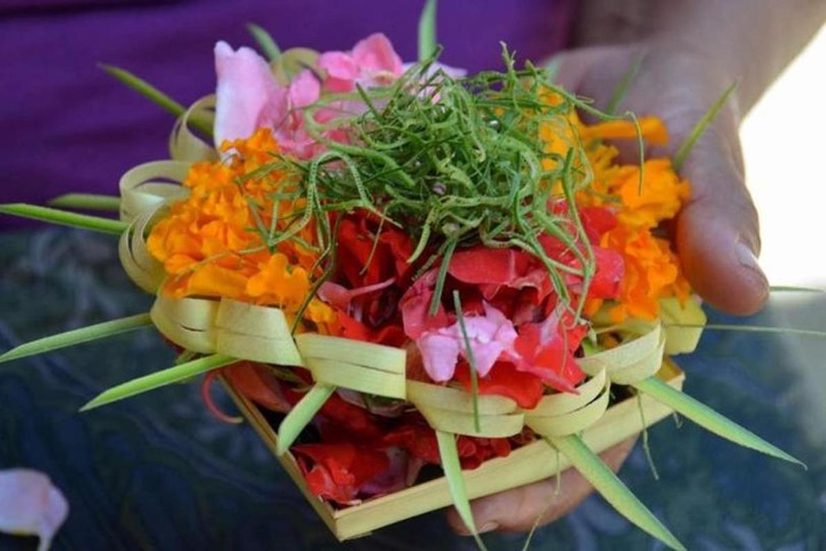 a person holding a basket filled with different types of vegetables