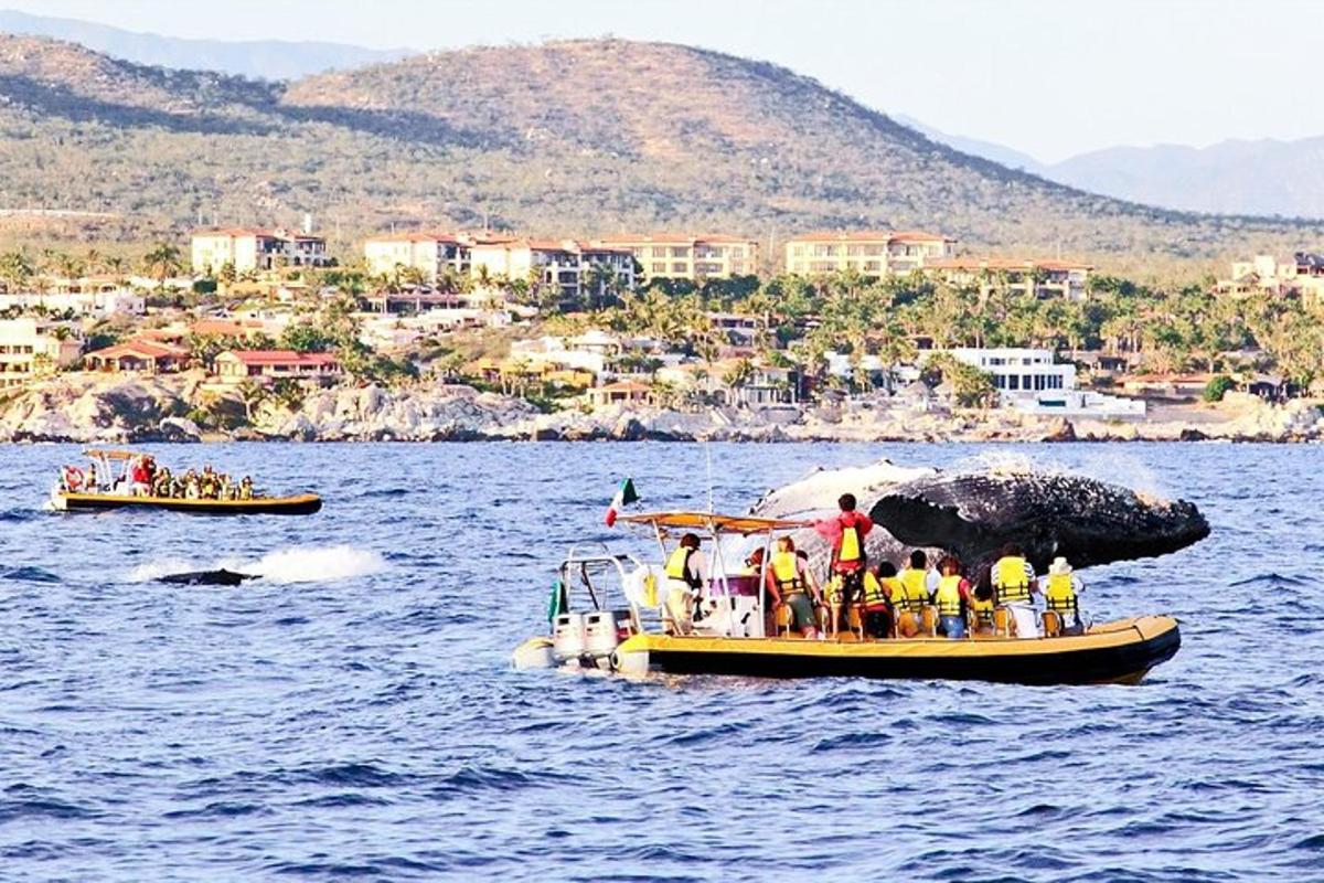 hópur fólks á bát í vatninu