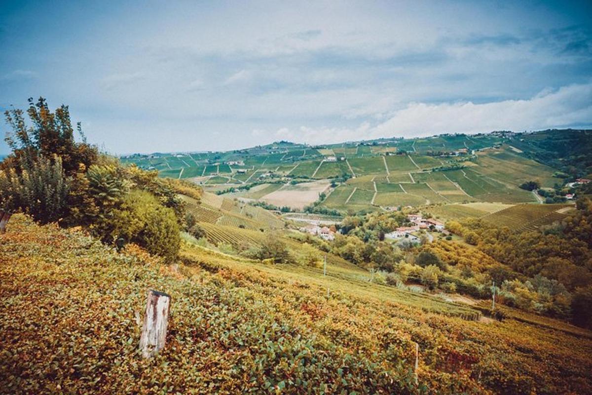 a hillside with a view of a town in a field