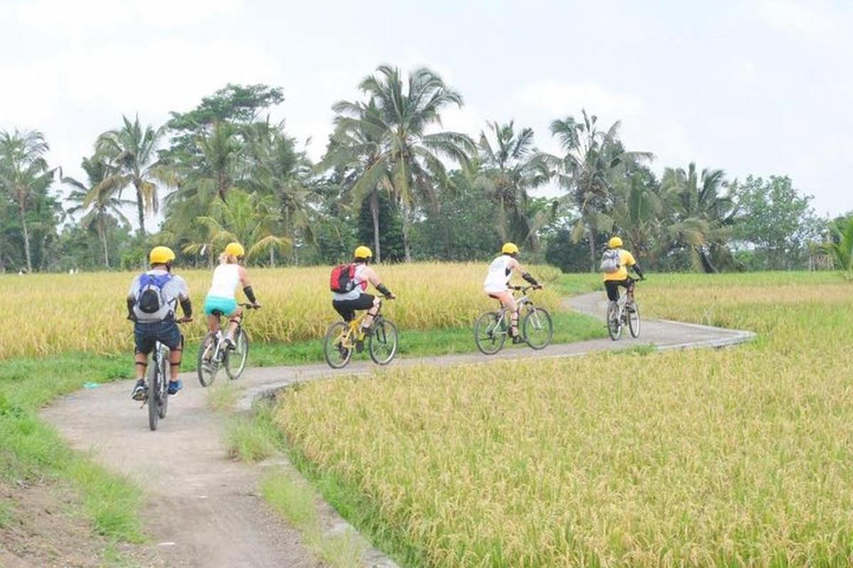 un grup de persones anant en bicicleta per un camí de terra