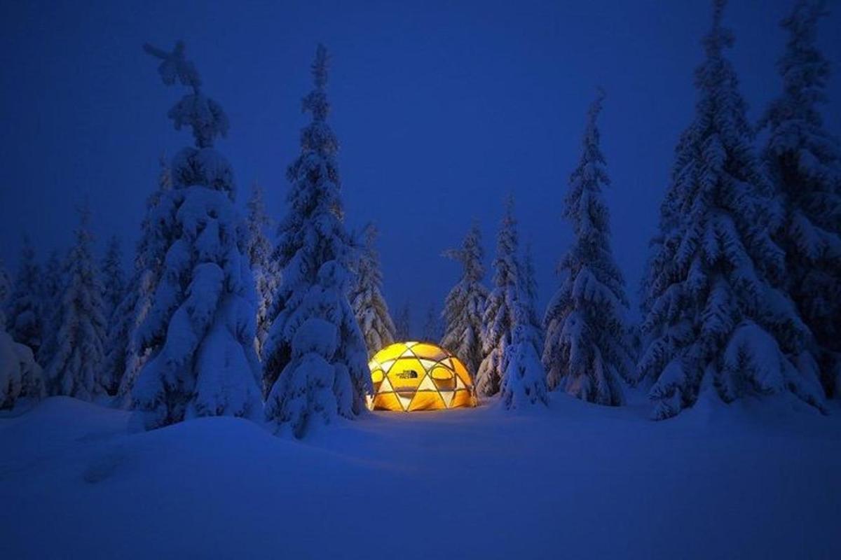 uma abóbora iluminada em uma floresta nevada à noite