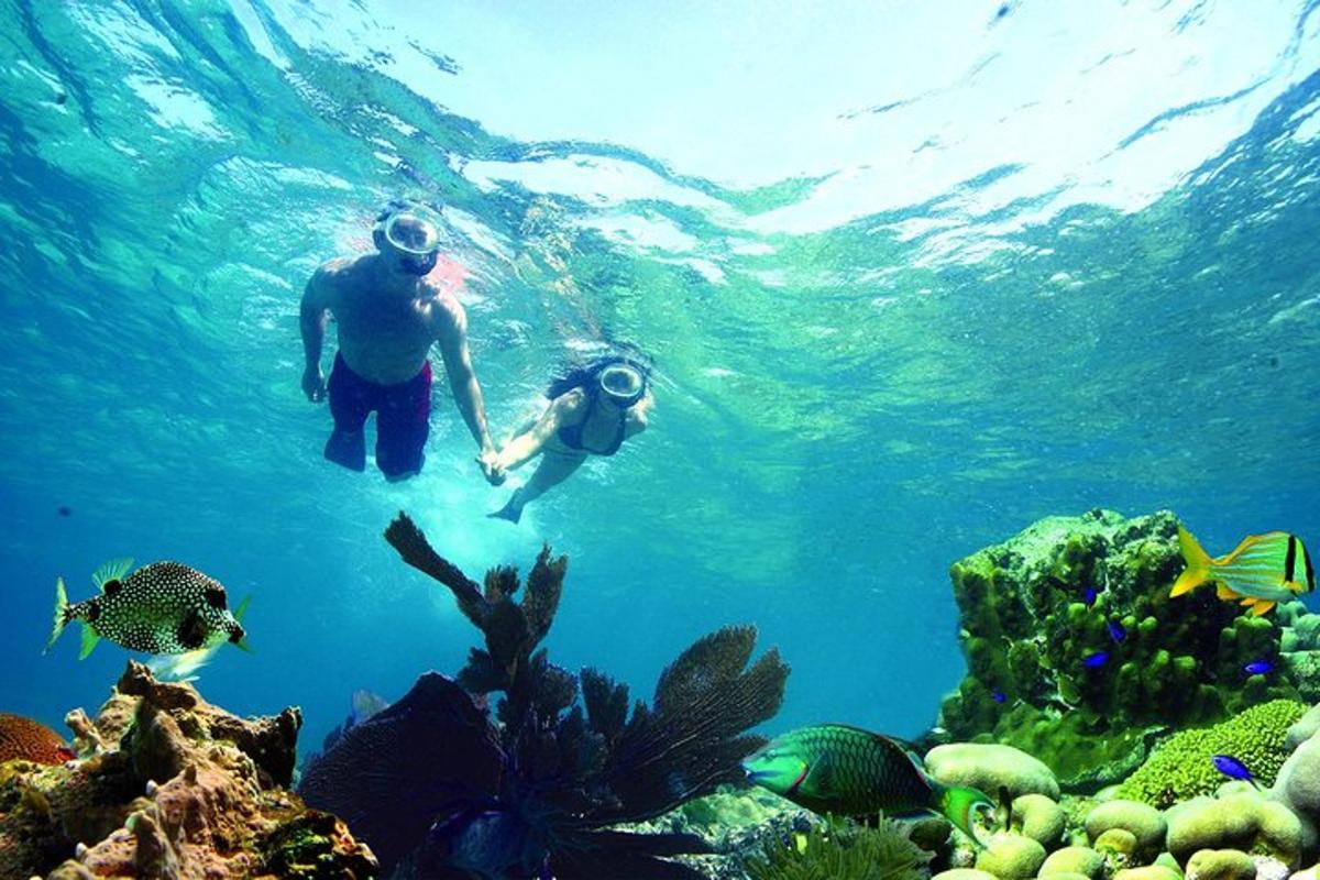 two people swimming in the water near the reefs
