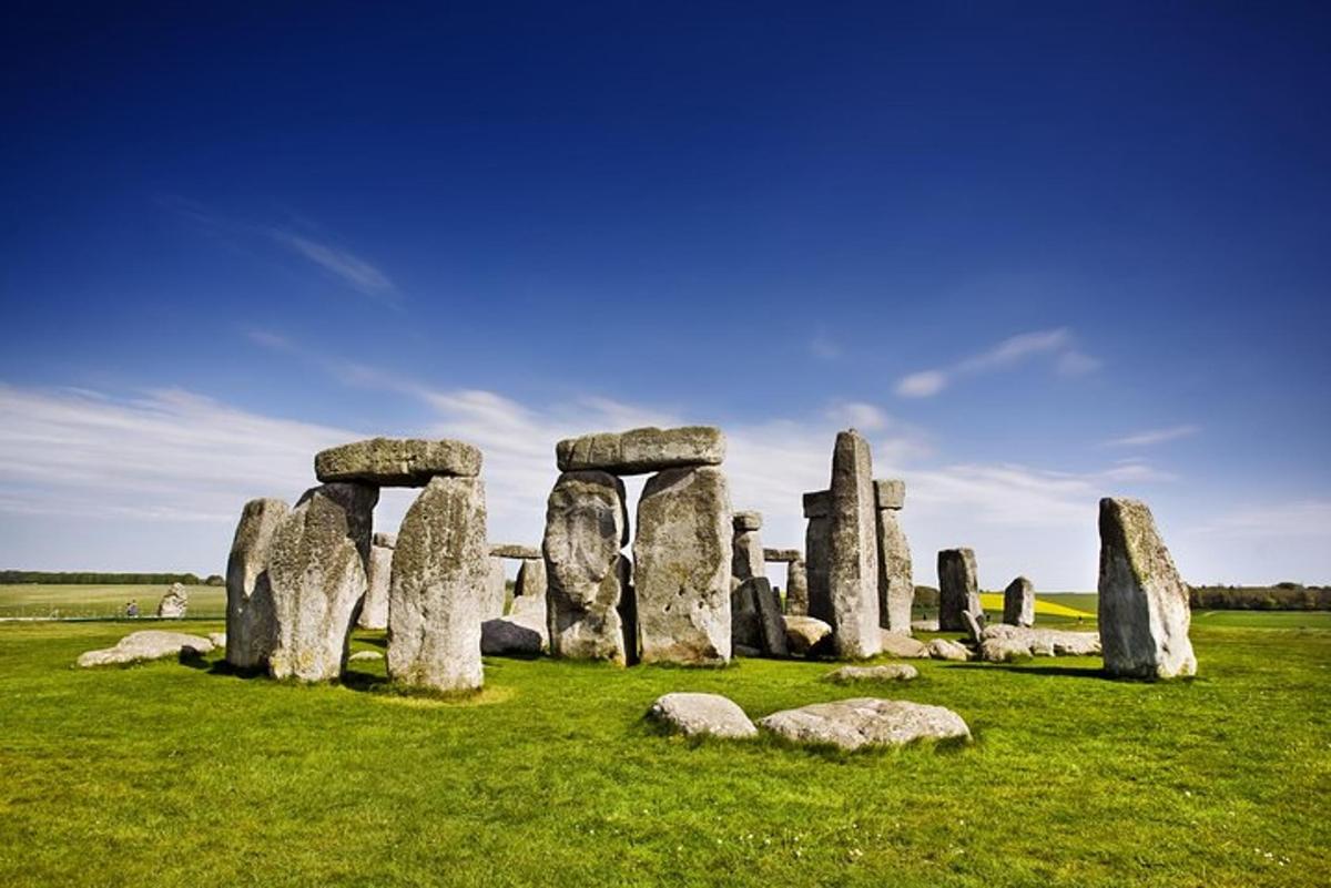 un gruppo di grandi rocce in un campo