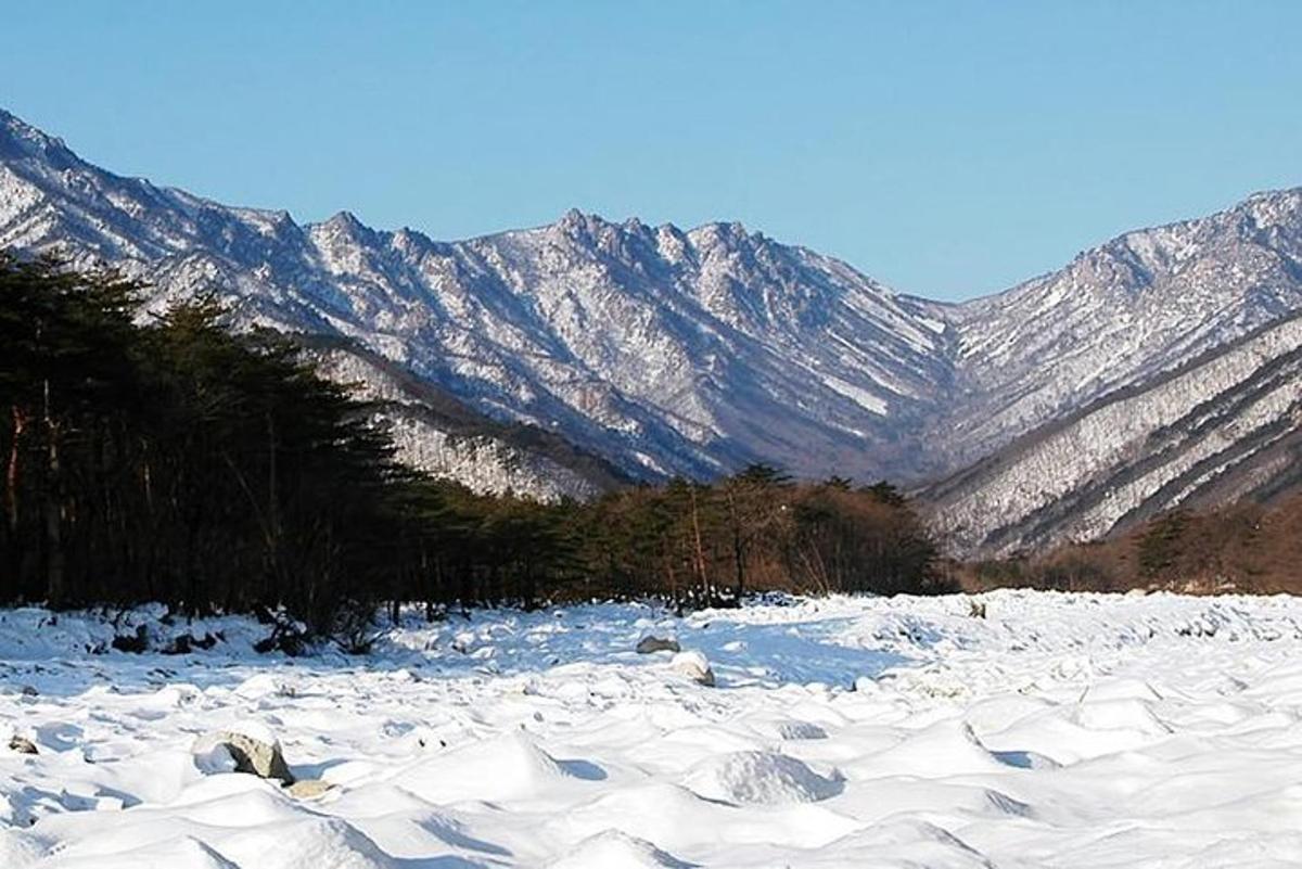 a snow covered field with mountains in the background