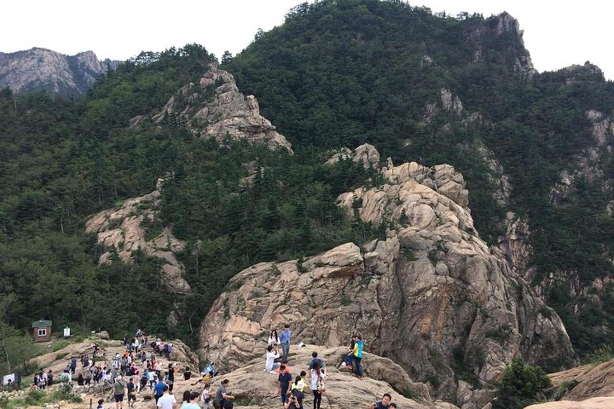a large group of people walking on a mountain