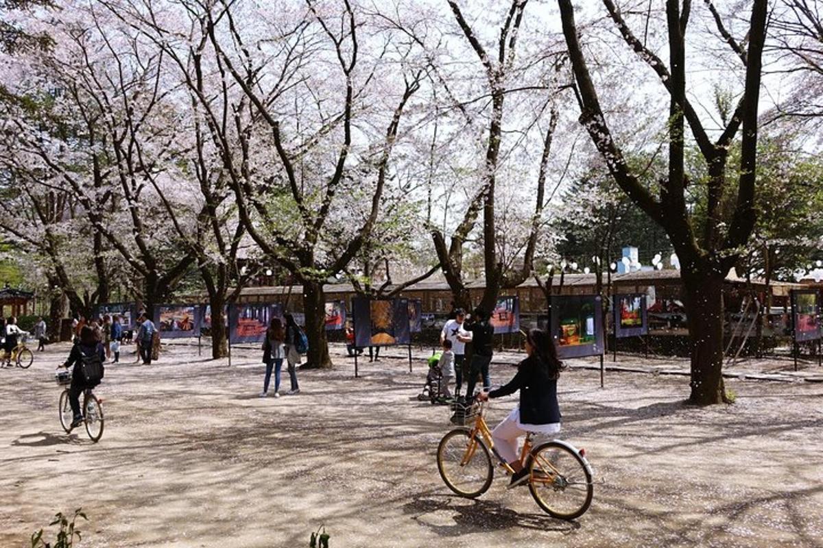 a young girl riding a bike in a park
