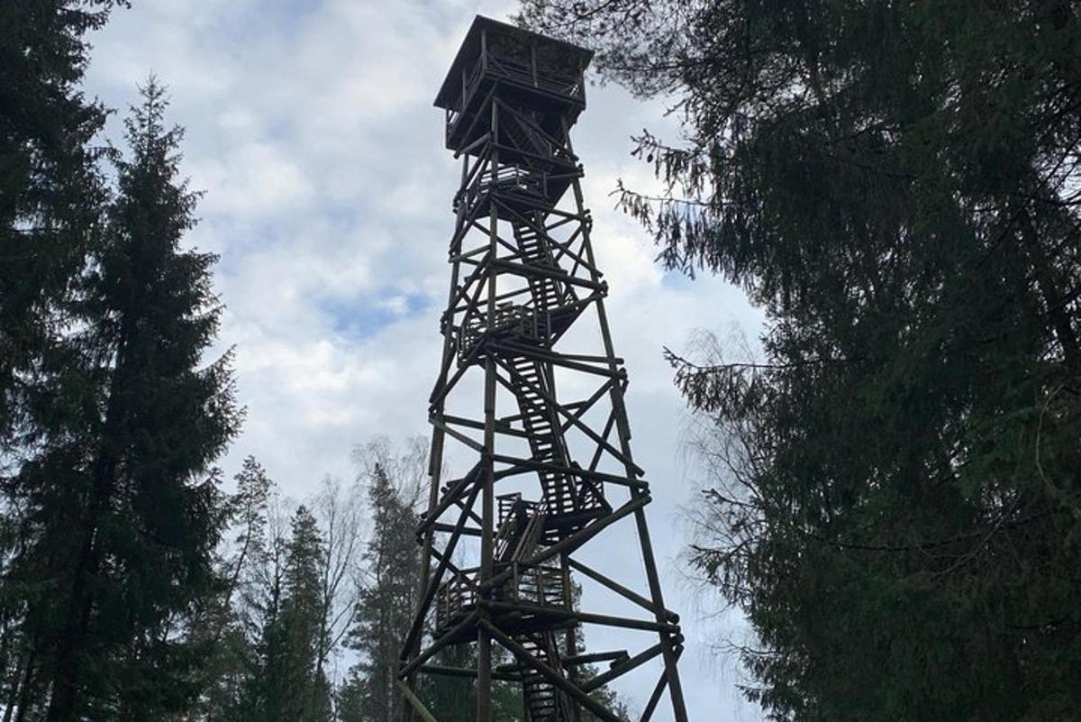 vysoký dům na stromě uprostřed lesa