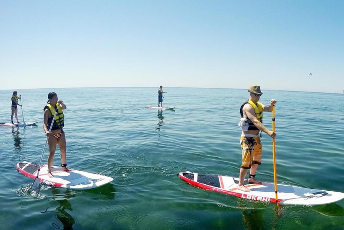 un grup de oameni care stau pe plăci de paddle în apă