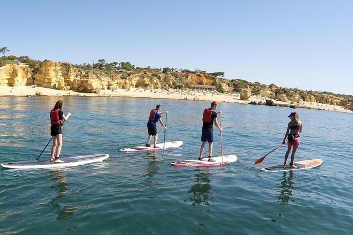 un grup de oameni pe plăci de paddle în apă