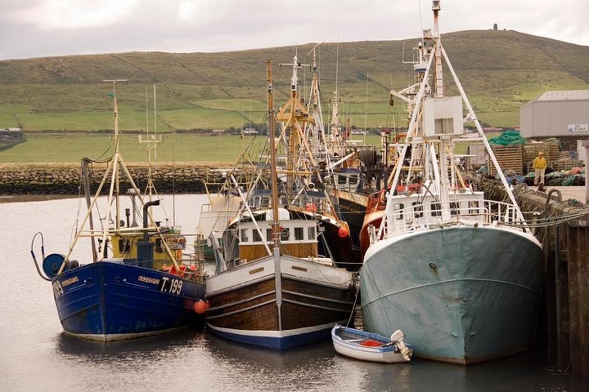 three boats are docked in the water in a harbor