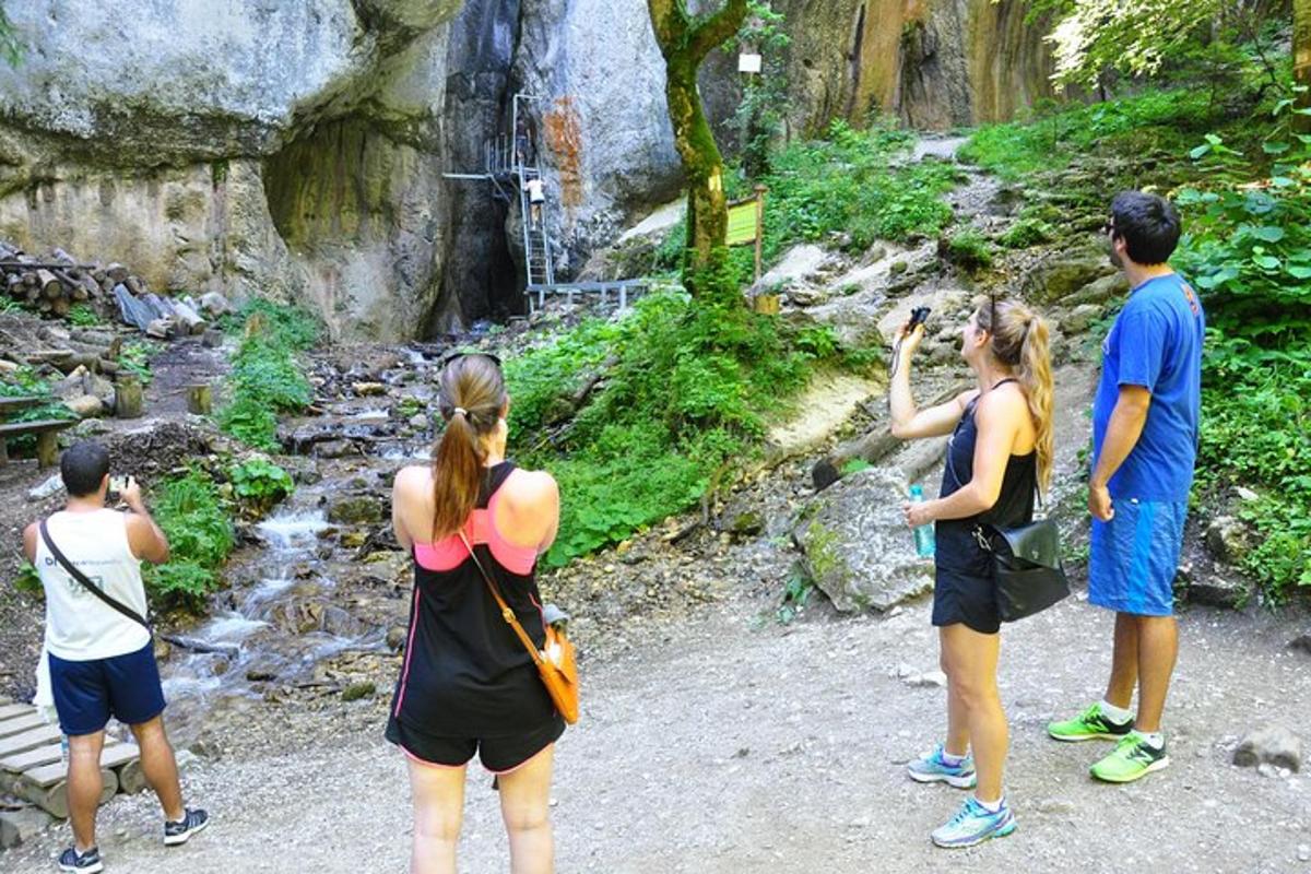 a group of people taking pictures of a waterfall