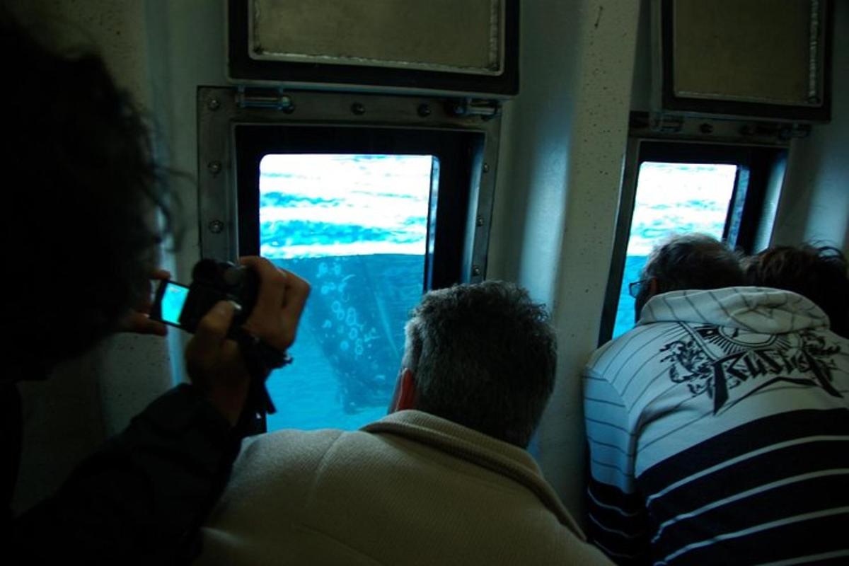 un uomo che scatta una foto di un pesce attraverso una finestra