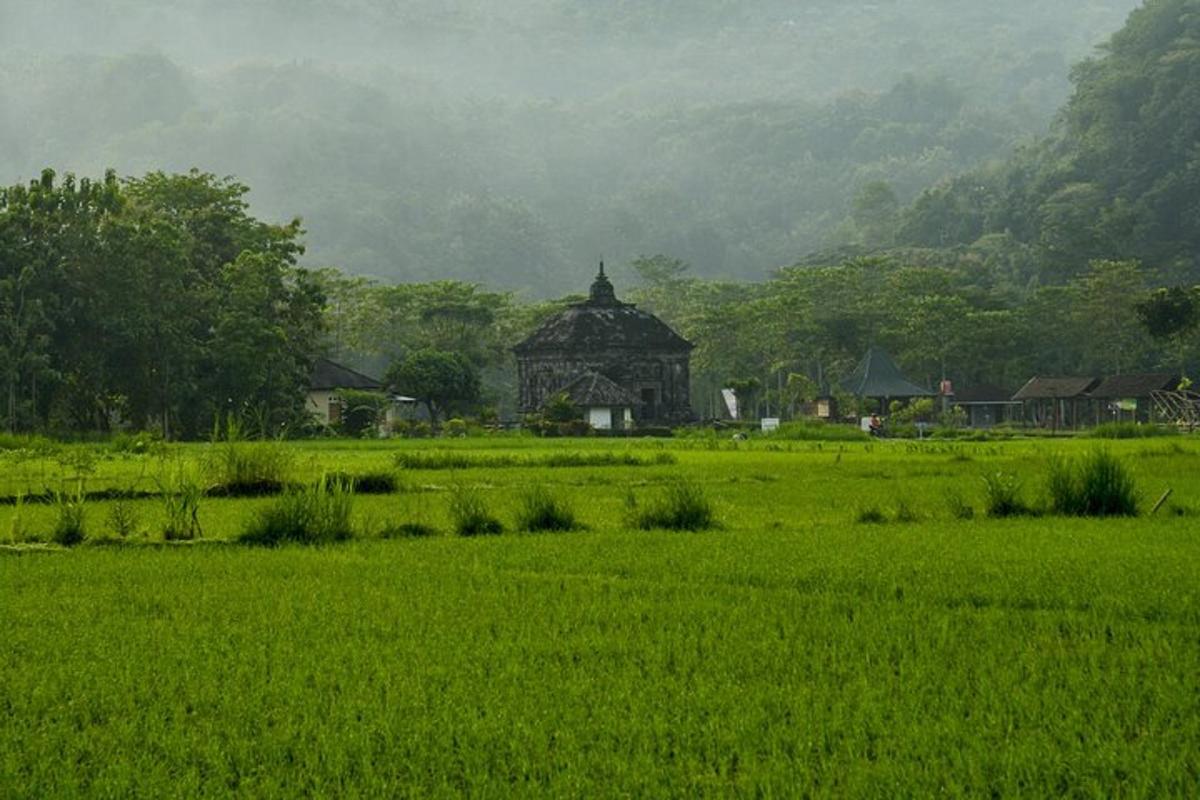 um campo verde com um edifício ao fundo