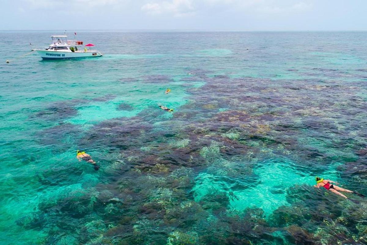 a boat and people swimming in the ocean