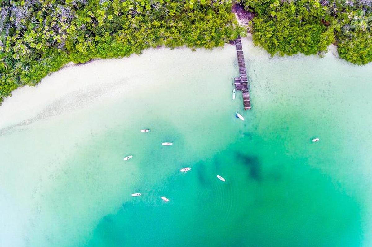una vista aerea di una spiaggia con barche in acqua