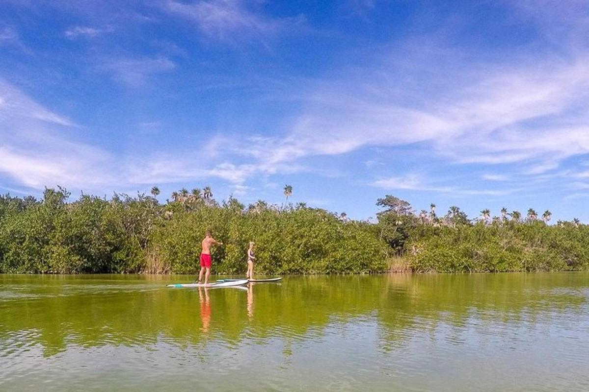 due persone su una tavola da paddle in acqua