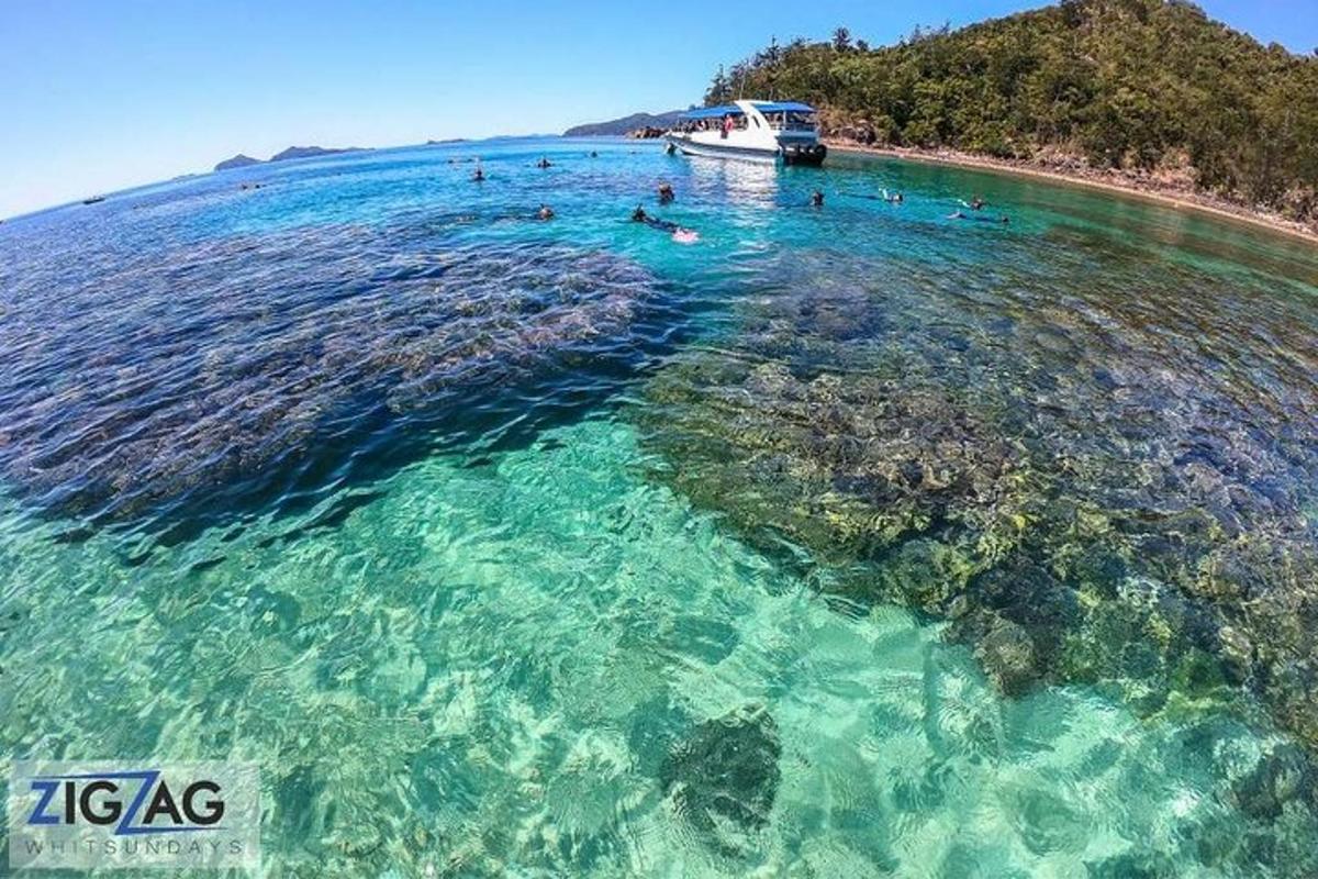 a group of people swimming in the ocean with a boat