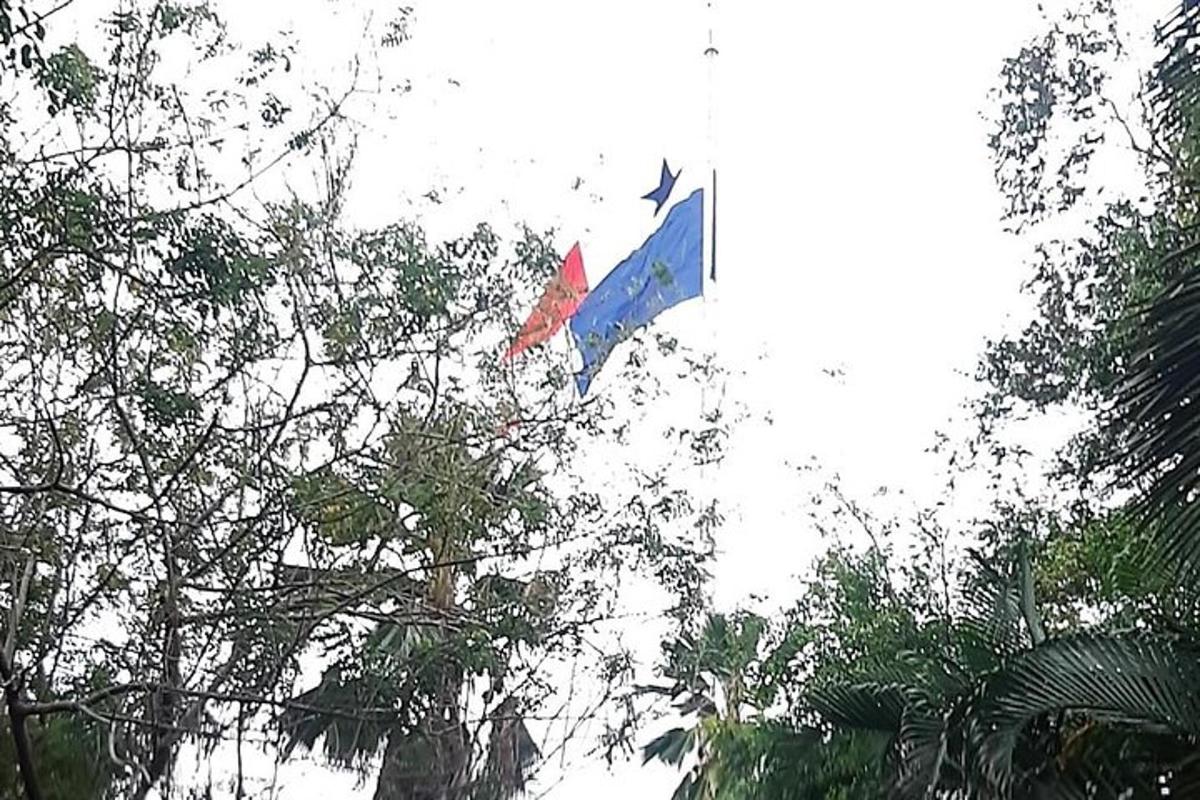 un aquilone che vola nel cielo sopra alcuni alberi
