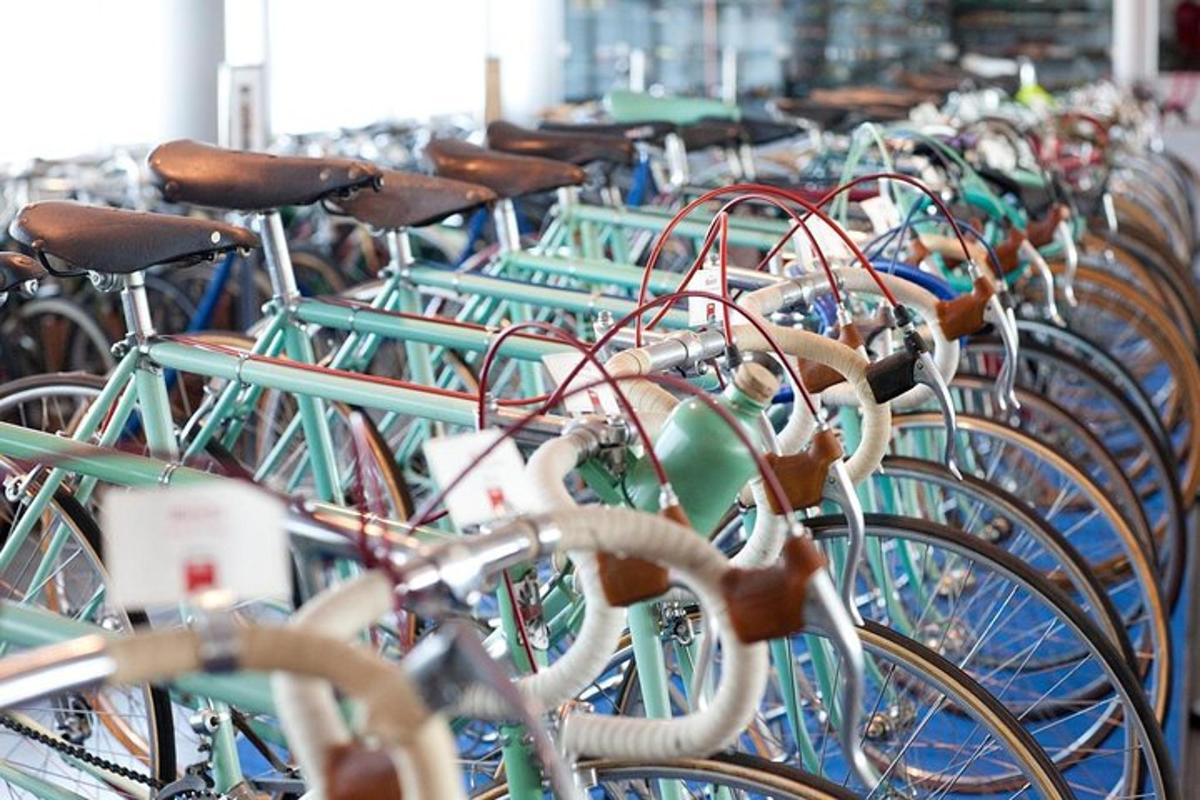un munt de bicicletes alineades en fila