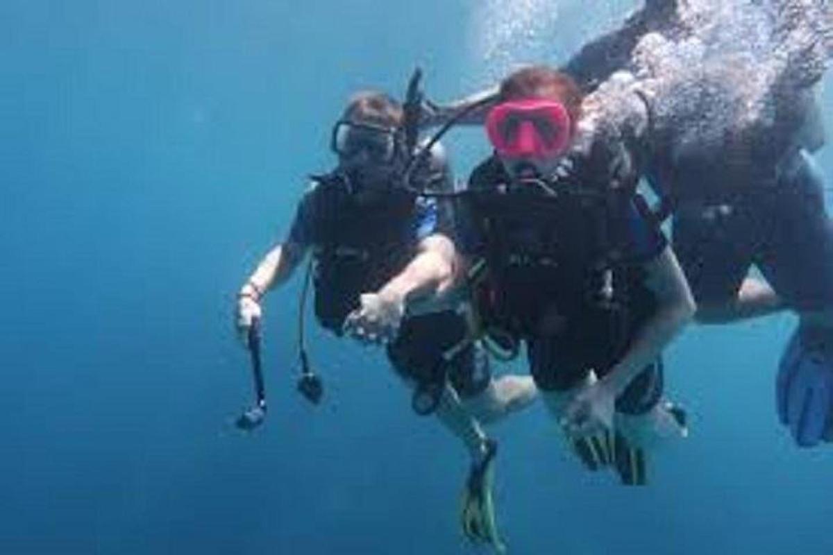 un grupo de personas nadando en el agua