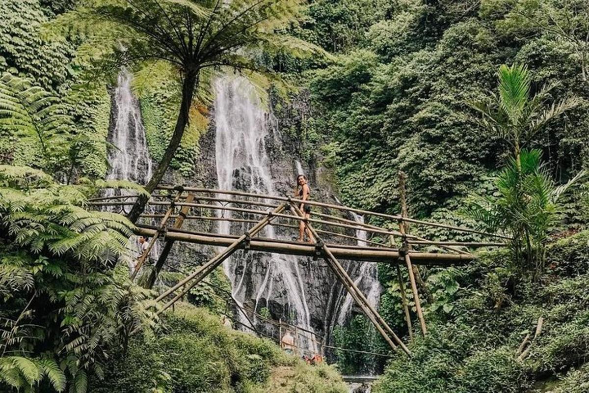 una persona parada en un puente frente a una cascada