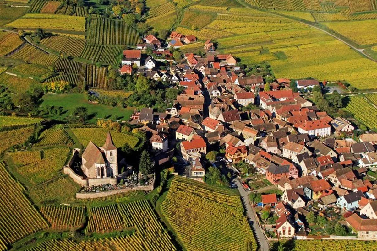 À la rencontre des grands vins de Terroir – photo 3