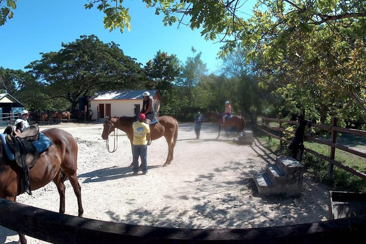 um grupo de pessoas andando a cavalo em uma estrada de terra