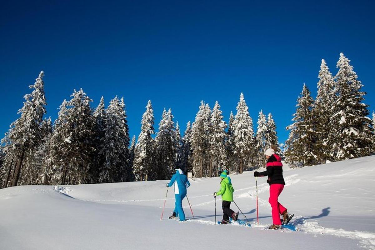 three people skiing down a snow covered slope with trees