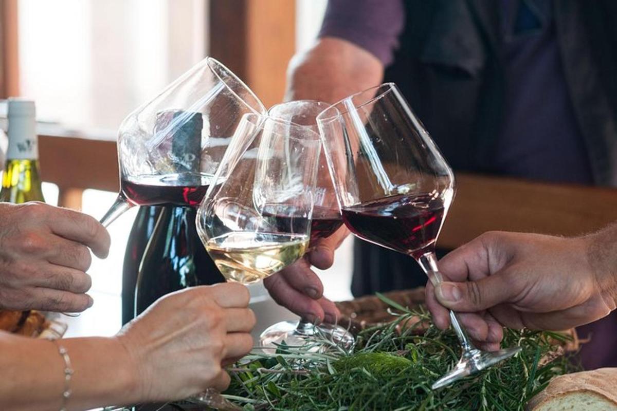 un gruppo di persone che tengono in mano bicchieri di vino