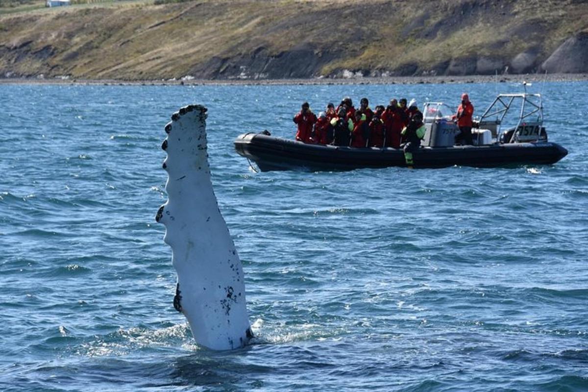 a group of people on a boat in the water
