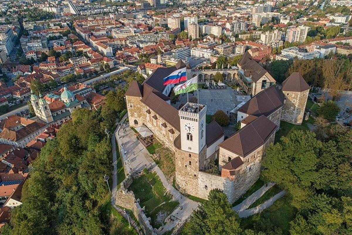 an aerial view of a castle in a city