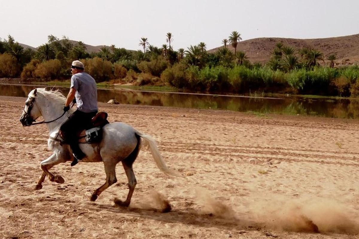 a man riding a horse in the desert